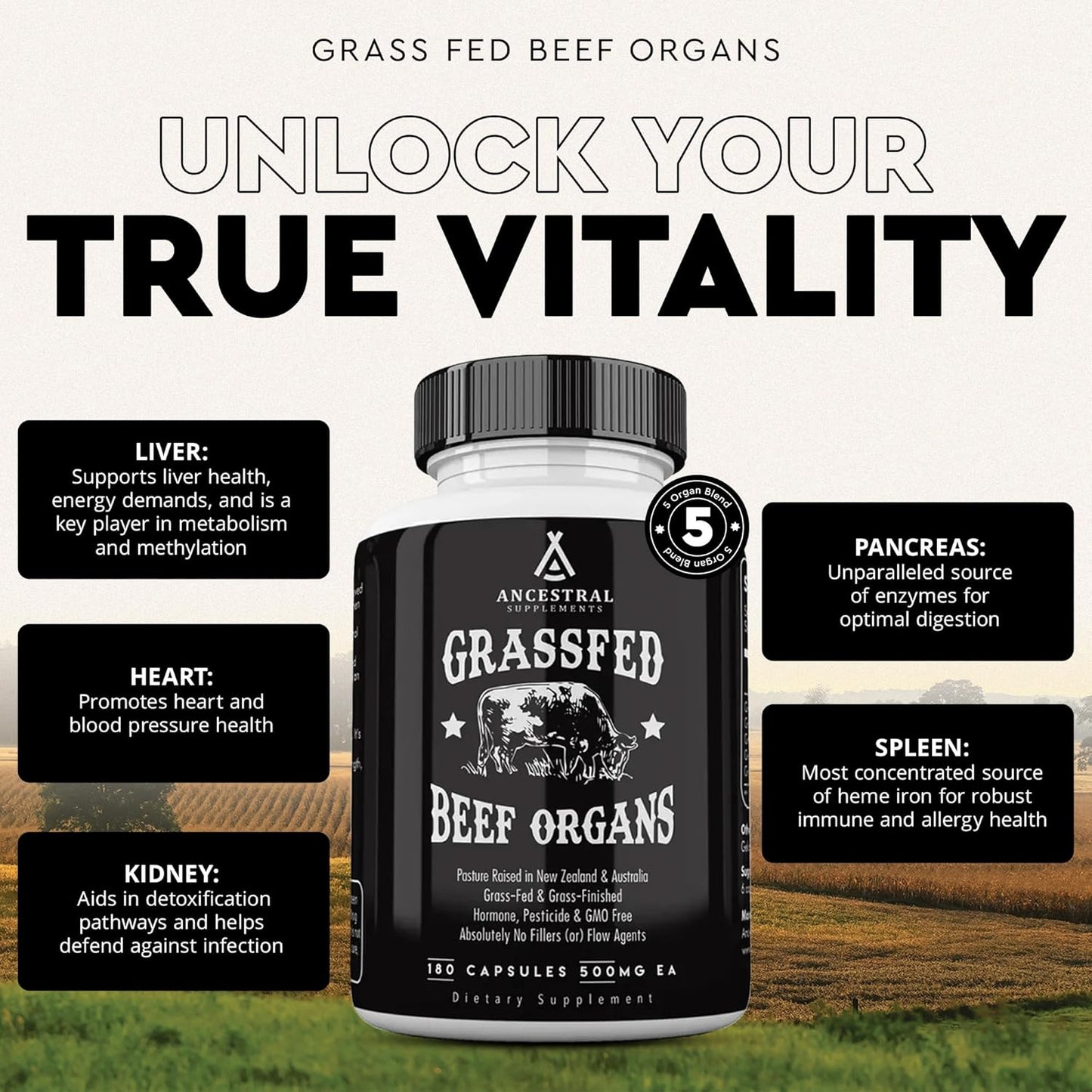 Ancestral Supplements Grass Fed Beef Organ Supplement - Whole Body Wellness Support