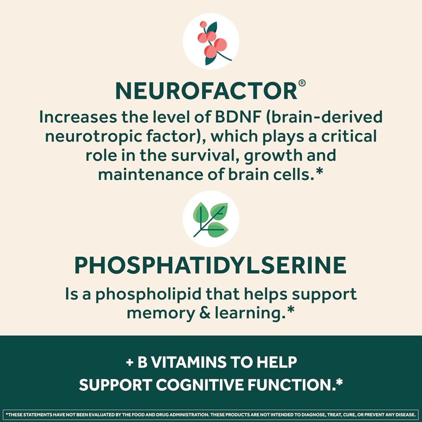 NEURIVA Plus Brain Supplement - Clinically Tested Nootropics for Memory & Focus