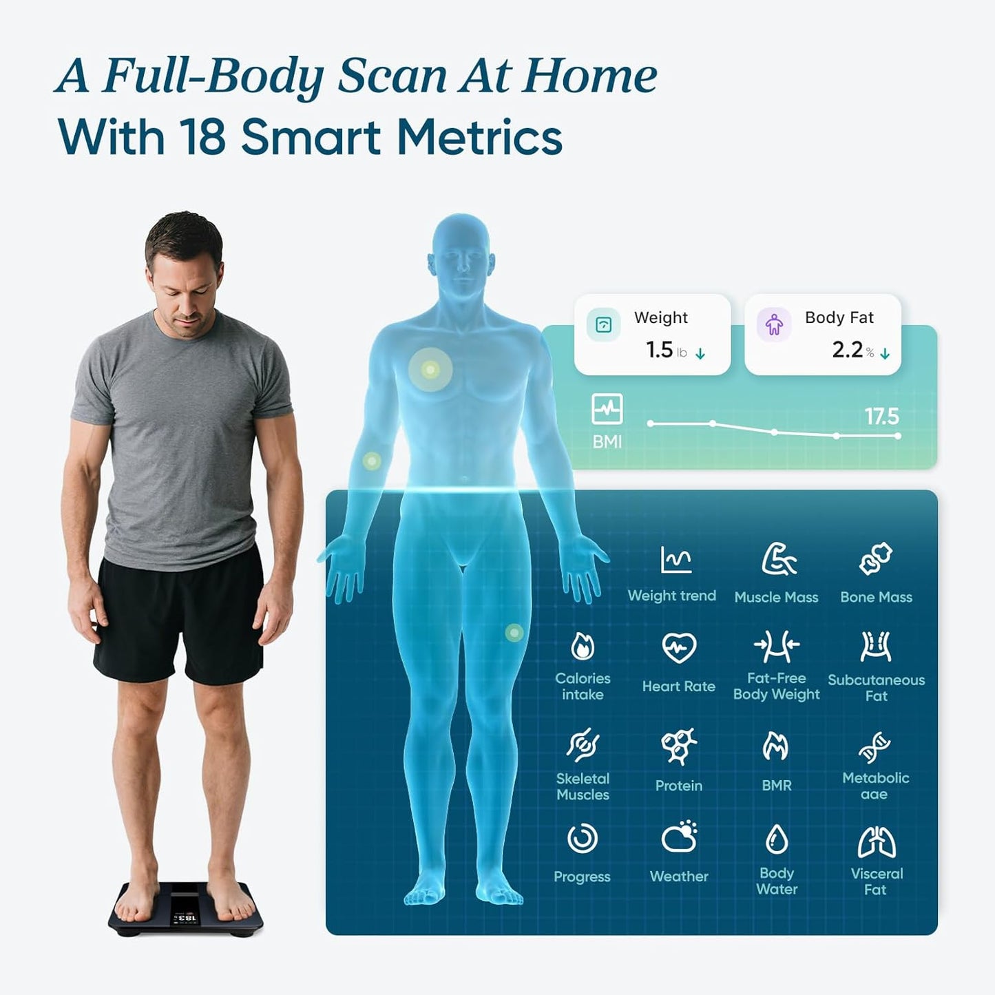 Etekcity Smart Digital Bathroom Scale - BMI Body Fat Muscle Mass Analyzer